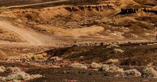 前英超前锋：霍伊伦需要让队友知道自己在哪拿球舒服，他很有潜力